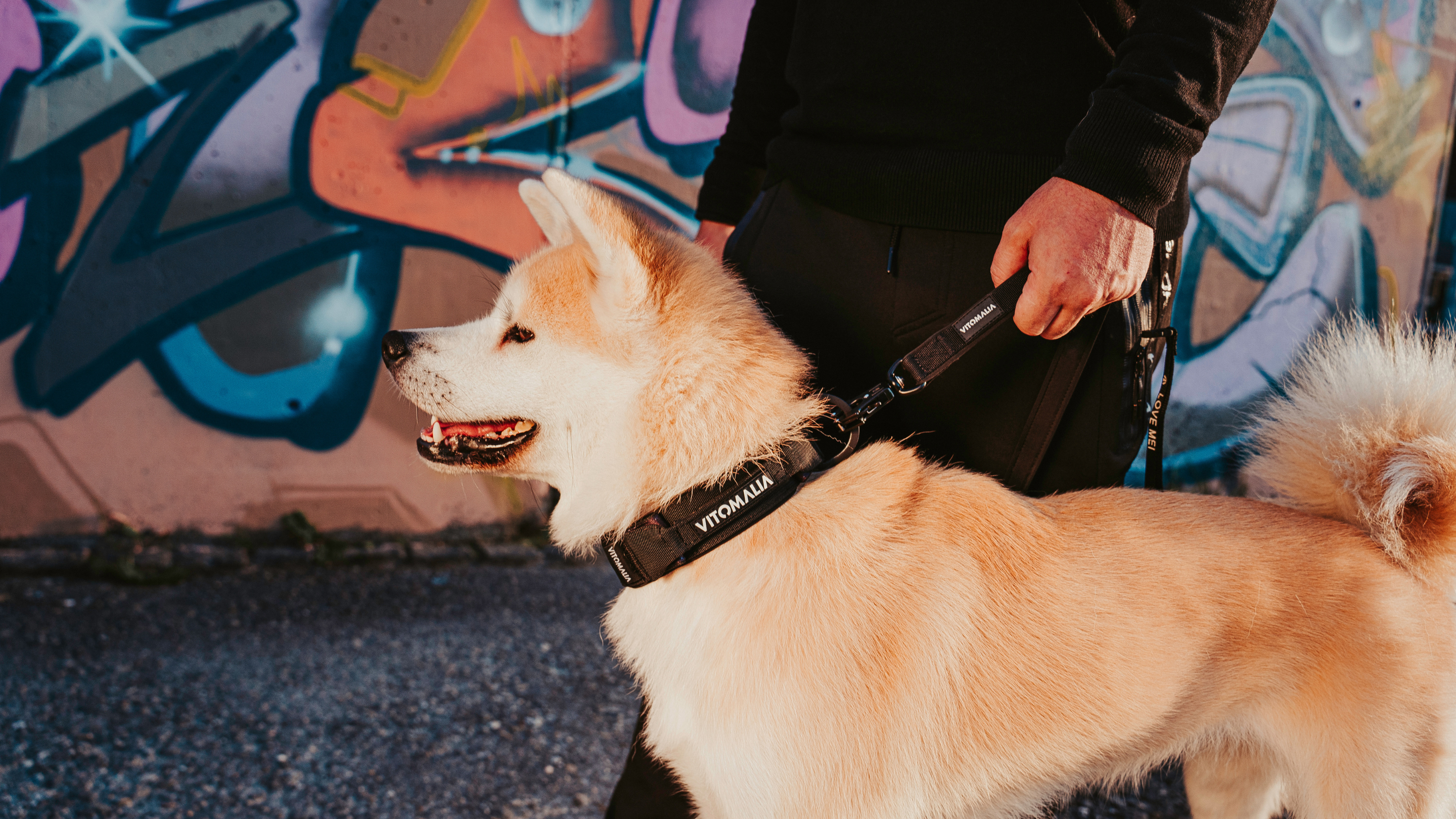 Bundle - Extreme Edition Komplett-Set