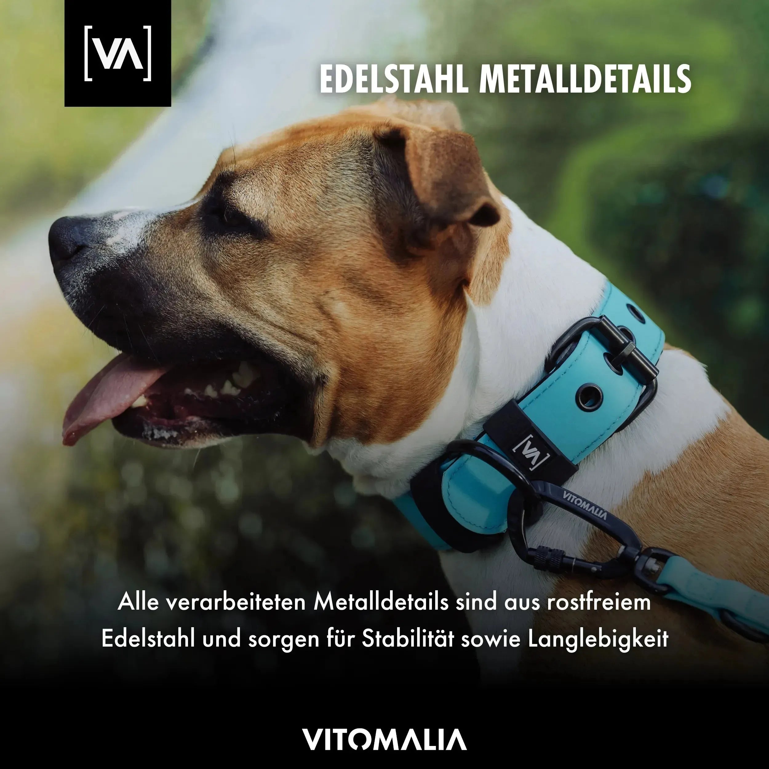 Water collar with protruding inner lining turquoise