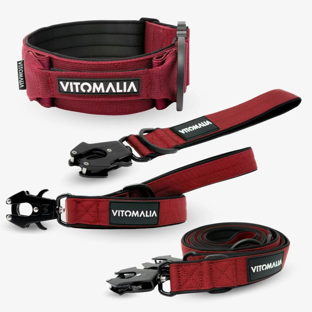 Bundle Extreme Edition Complete Set - Collar & 3 Leashes - Bordeaux