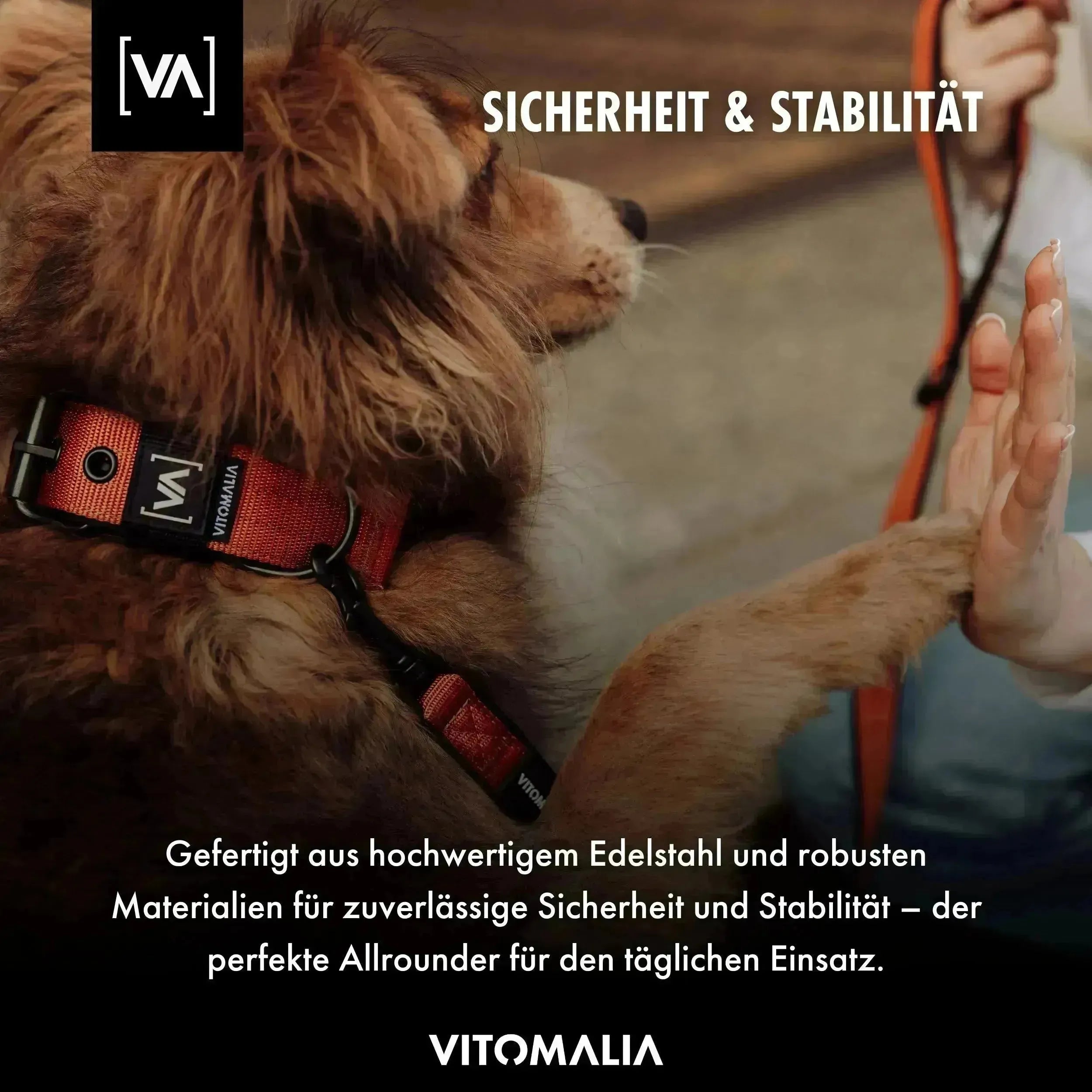 Classic Dog Collar with protruding inner lining - Nero Black