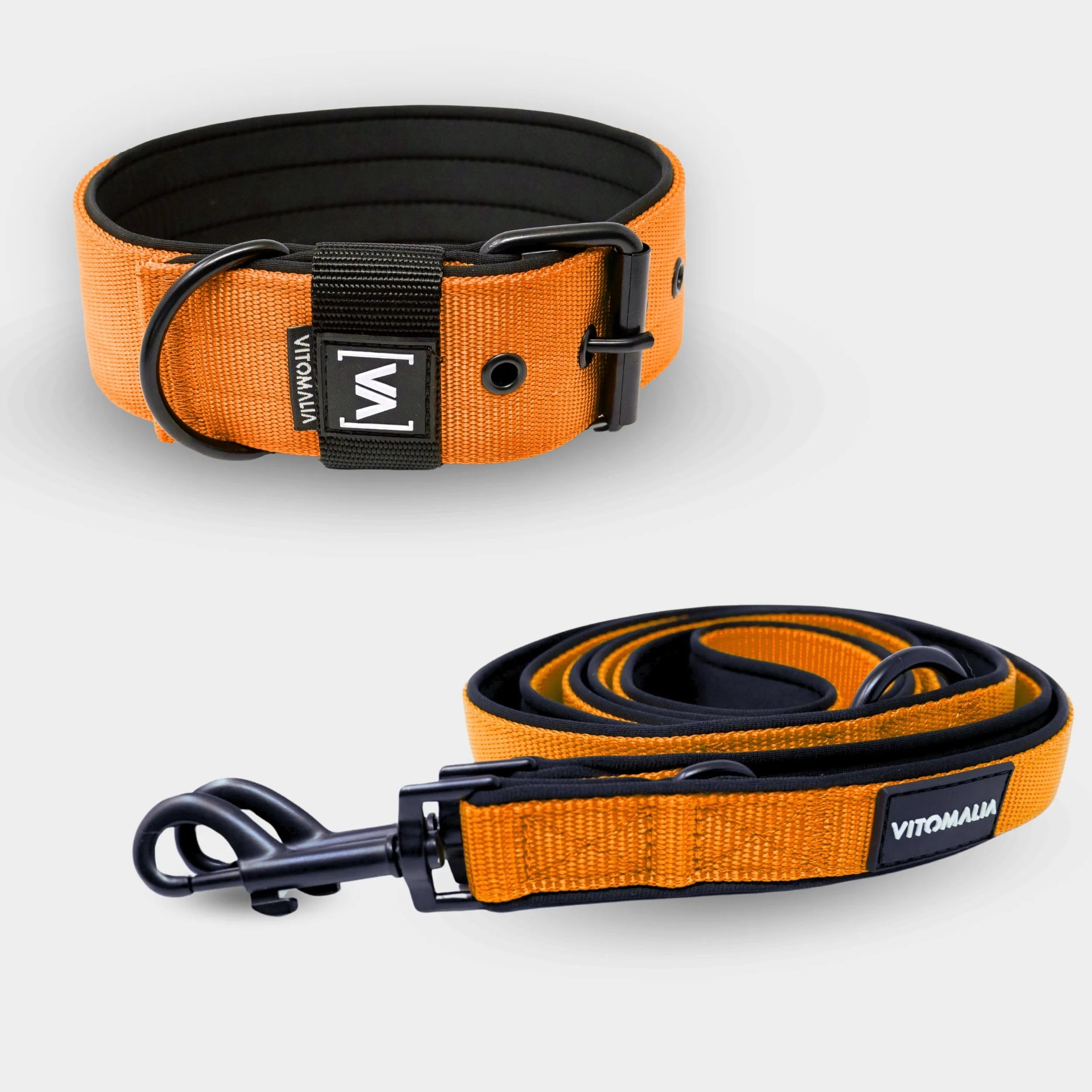 Bundle Classic Nero Edition Orange Set - Halsband + 2,2m dreifach verstellbar Hundeleine
