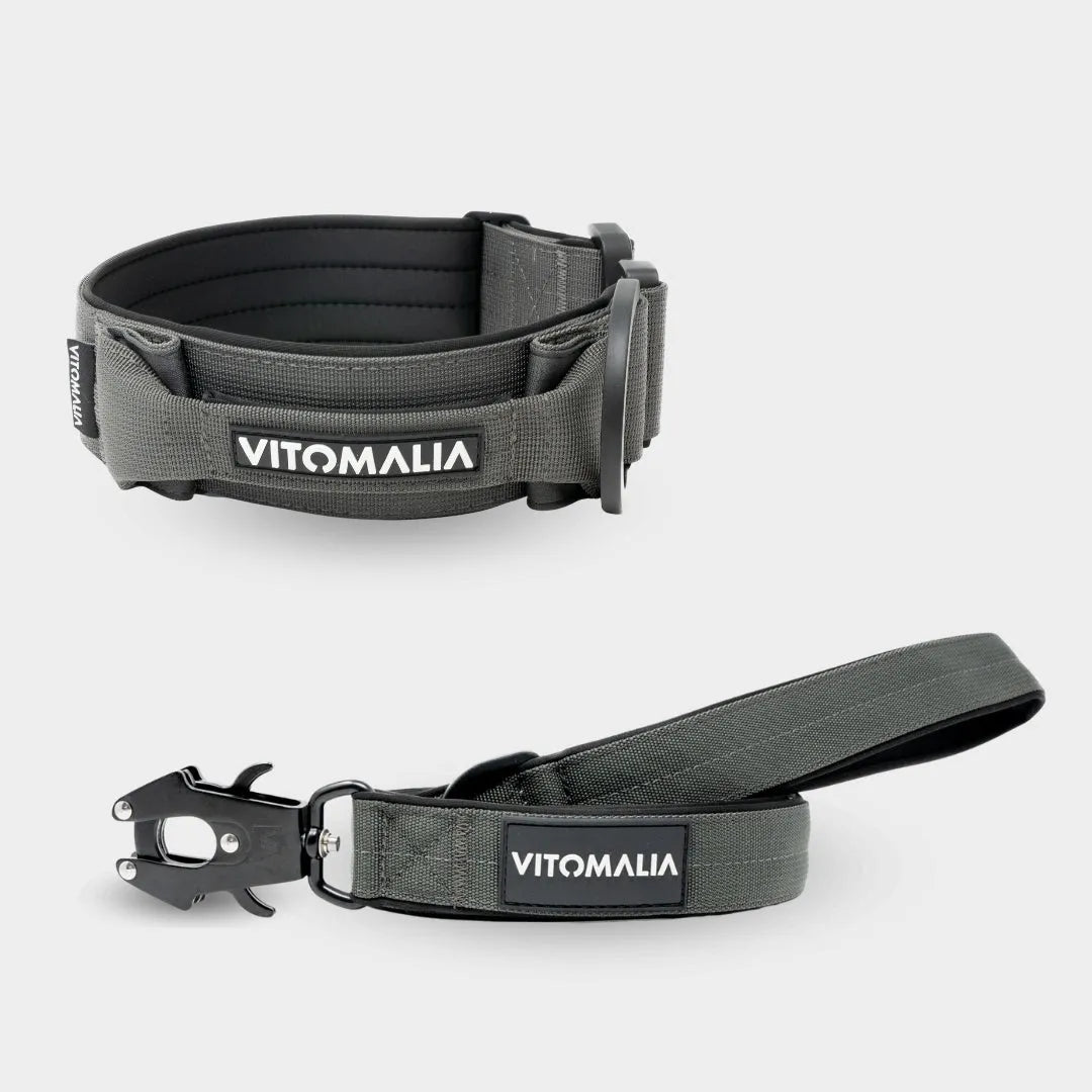 Bundle Extreme Edition Anthracite Set - Collar + 1.2 lead with hand loop