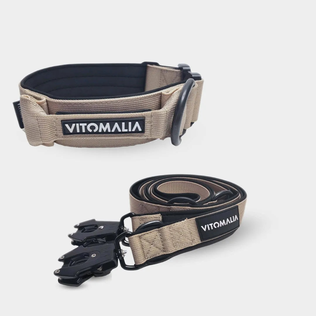 Bundle Extreme Edition Beige Set - Collar + 2.2m triple adjustable Dog Leash