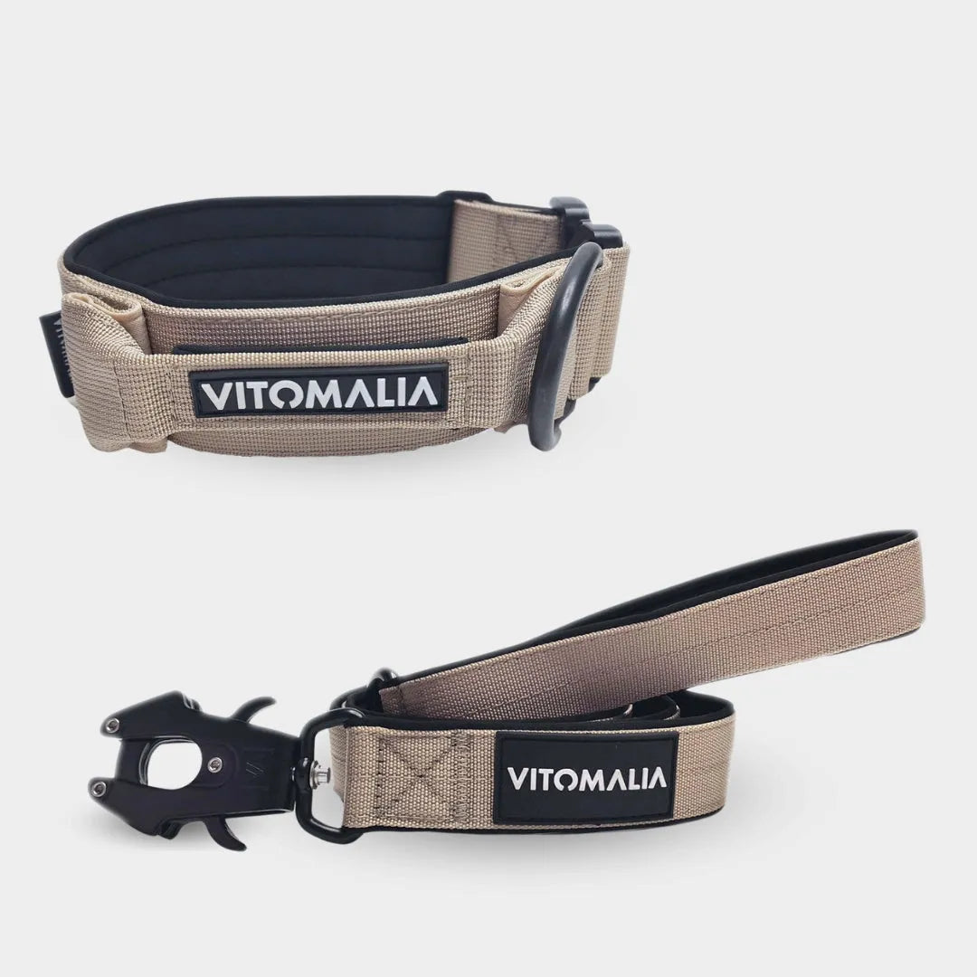 Bundle Extreme Edition Beige Set - Collar + 1.2 lead with hand loop