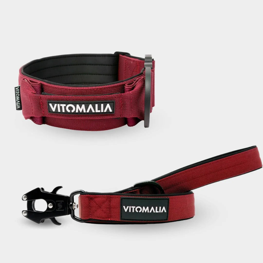 Bundle Extreme Edition Bordeaux Set - Collar + 1.2 lead with hand loop