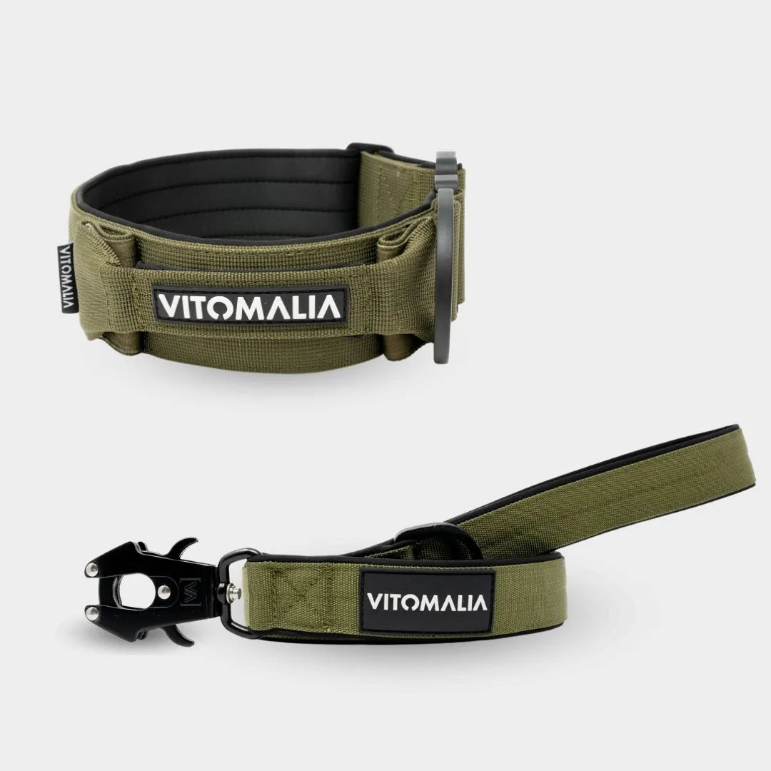 Bundle Extreme Edition Khaki Set - Collar + 1.2 lead with hand loop