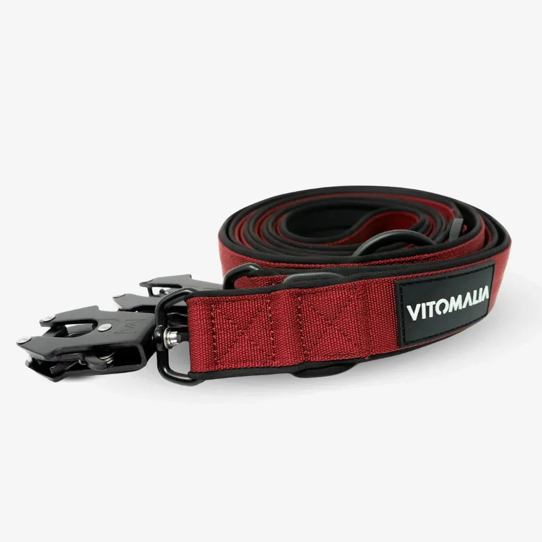 Bundle Extreme Edition Complete Set - Collar & 3 Leashes - Bordeaux