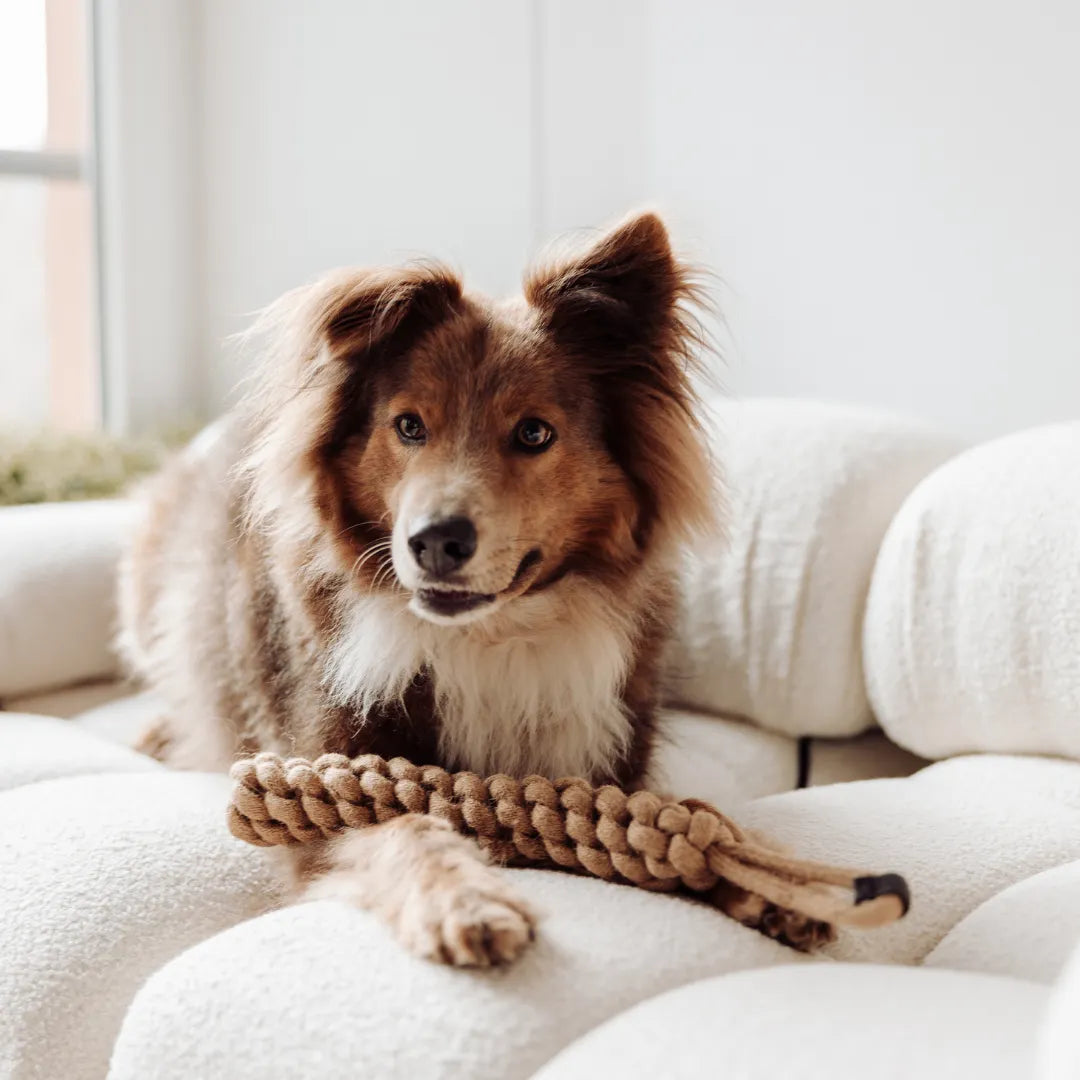 Geflochtener Zerr-Dummy für Hunde: 100% Naturhanf, handgeknotet - Eco Tug - Vitomalia -