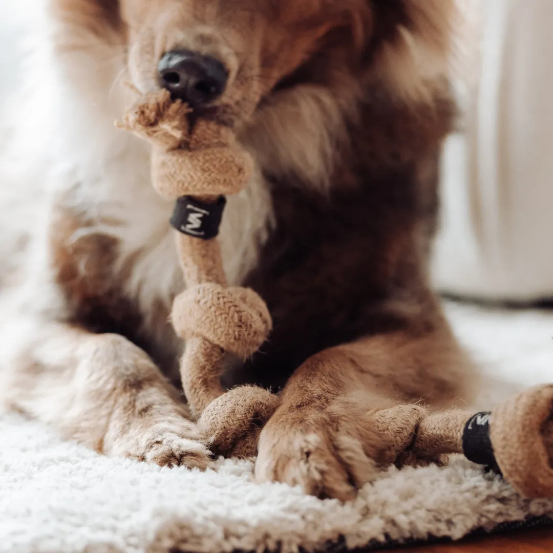 Geflochtenes Mehrknoten-Zerr-Seil für Hunde: 100% Naturhanf, handgeknotet - Eco Tug - Vitomalia -