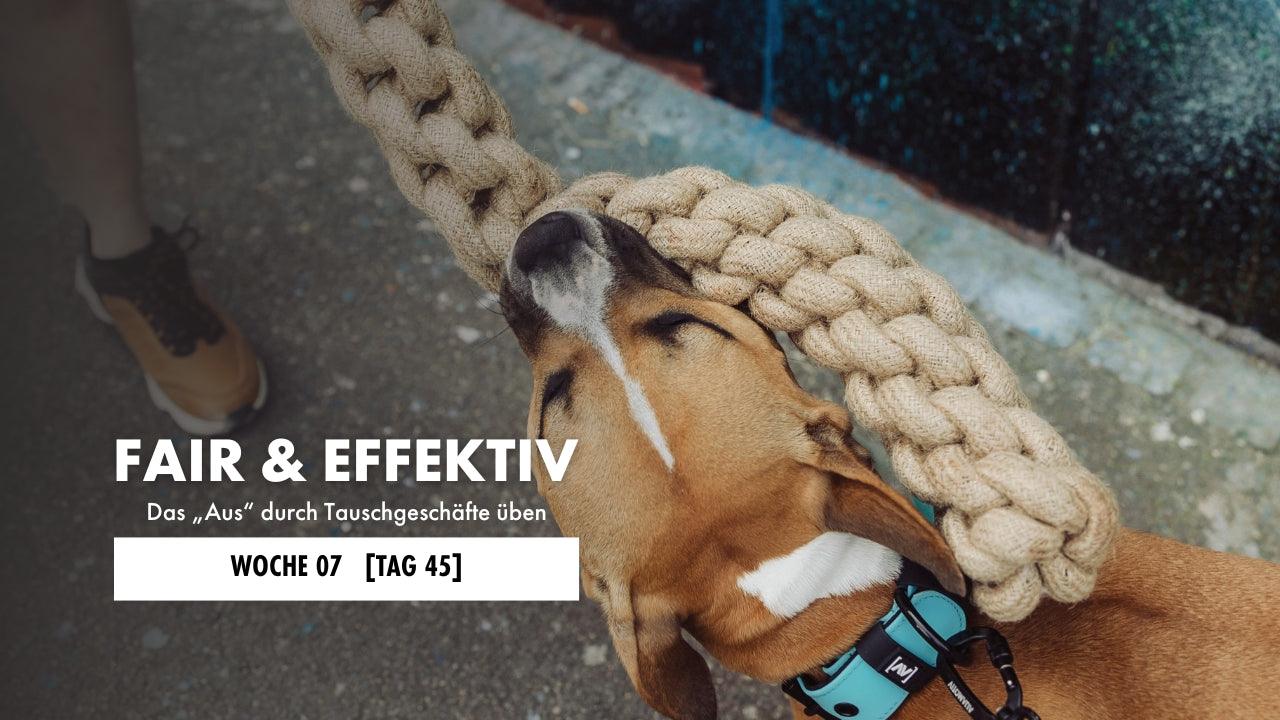 Hund sitzt neben Hundeführerin, die eine Gassitasche mit Hundepfeife trägt