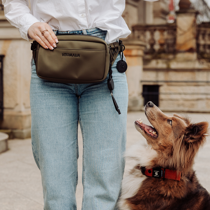 Multifunktionale Khaki Gassitasche für Hundebesitzer als Bauchtasche in Khaki: Mit herausnehmbaren Leckerlifächern, Kotbeutelspender und Wasserflaschenhalter - Vitomalia - Gassitasche