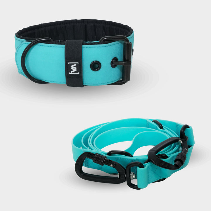 Bundle Aqua Edition Turquoise Set - Collier + 2,2m triple Laisse pour chien réglable Laisse pour chien