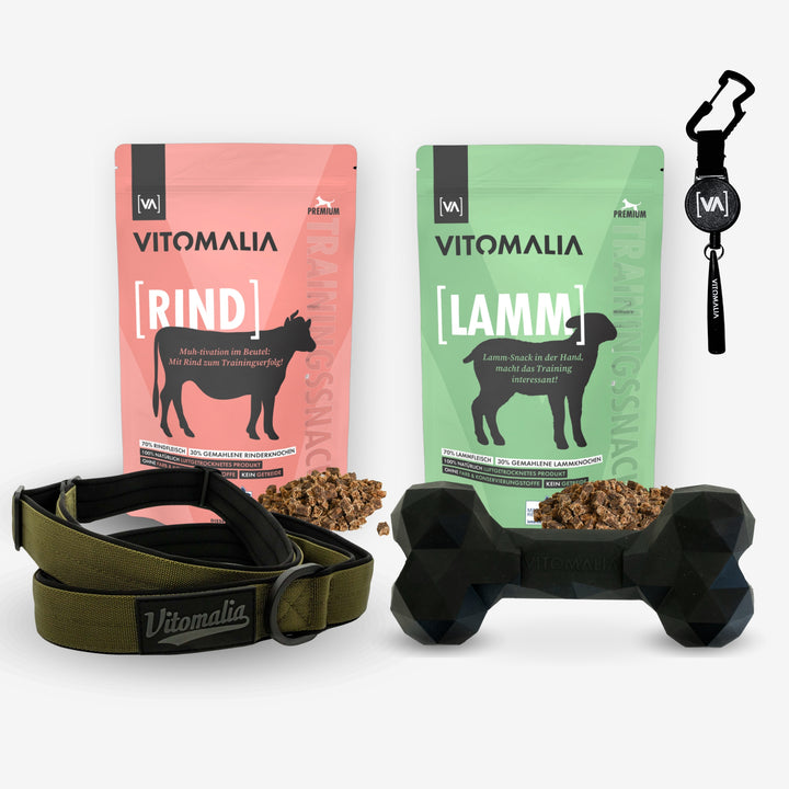 Set de adiestramiento y paseo - Hueso, snacks, Silbato retráctil para perros y correa Moxon caqui