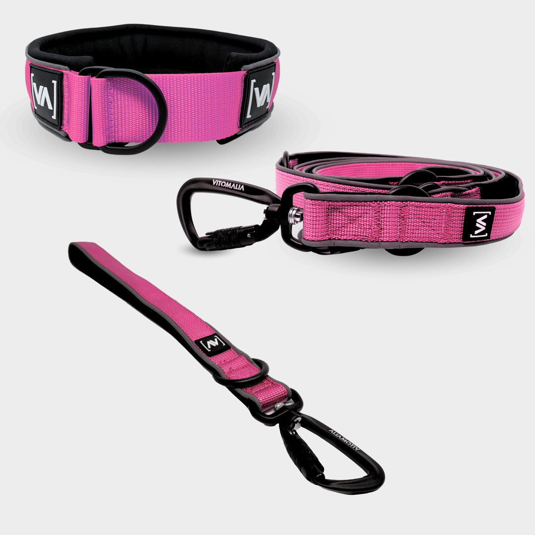 Bundle Easy Go Edition Pink Set - collare a strappo + Guinzaglio corto + Guinzaglio per cane regolabile Guinzaglio per cane