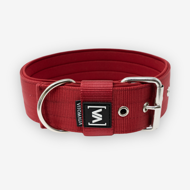 Collier pour chien classique avec doublure saillante - Bordeaux