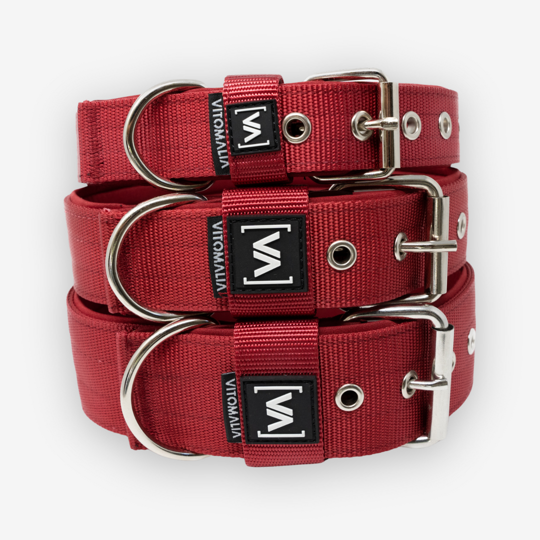 Classic Dog Collar with protruding inner lining - Bordeaux