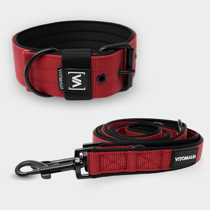 Bundle Classic Nero Edition Bordeaux Set - Collar + 2.2m triple adjustable Dog Leash