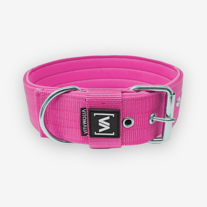 Collar para perro clásico Collar para perro con forro interior saliente - Rosa