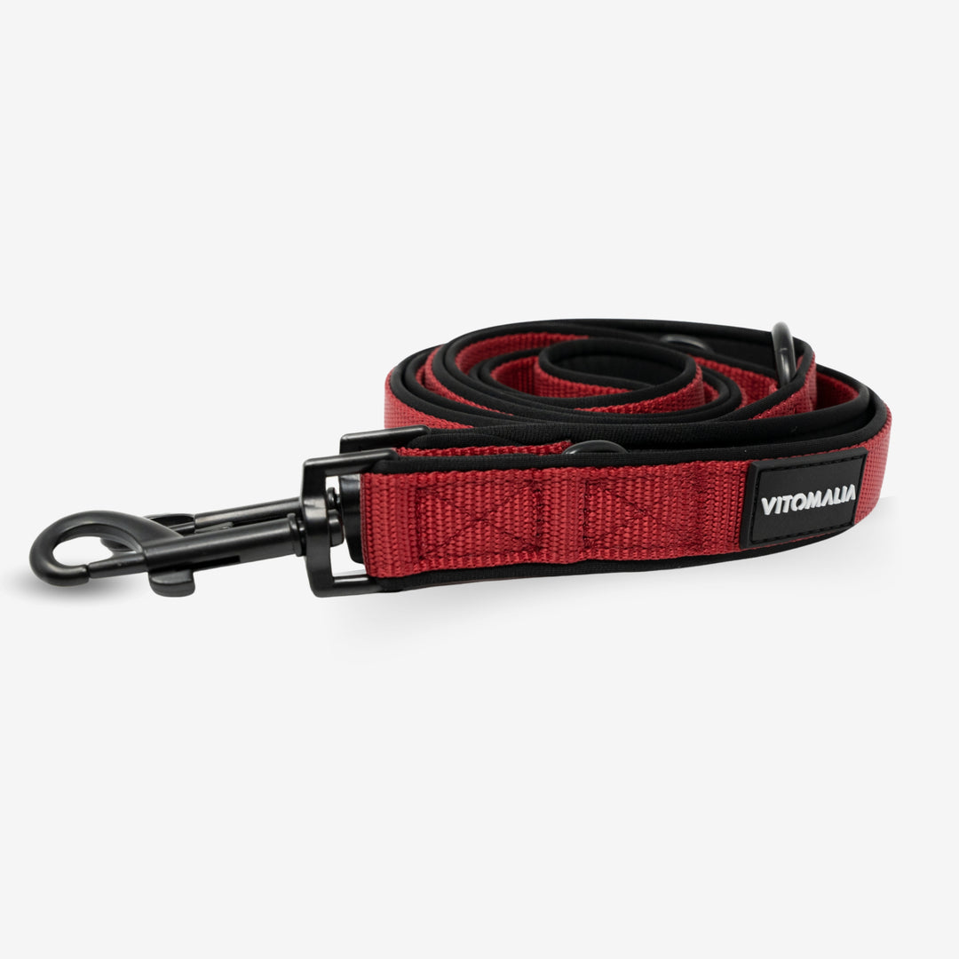 Bundle Classic Nero Edition Bordeaux Set - Collar + 2.2m triple adjustable Dog Leash