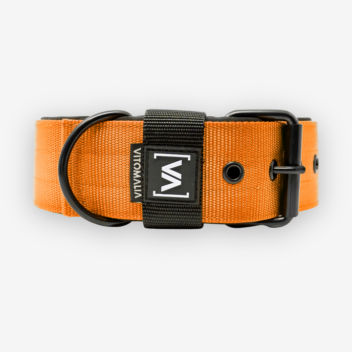 Classic Dog Collar with protruding inner lining - Nero Orange