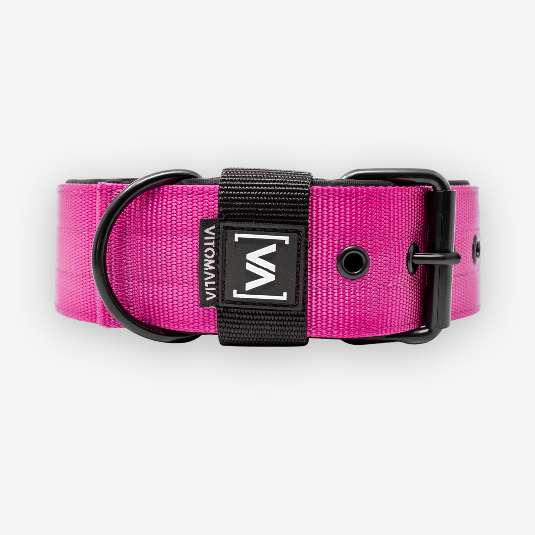 Collier pour chien classique avec doublure saillante - Nero Pink