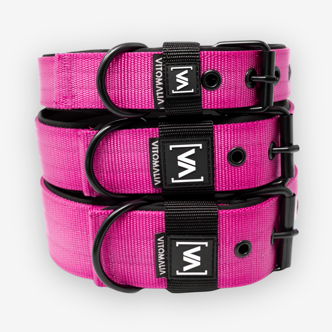 Collar para perro clásico Collar para perro con forro interior saliente - Nero Pink