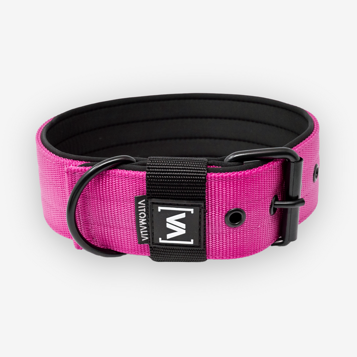 Classic Dog Collar with protruding inner lining - Nero Pink