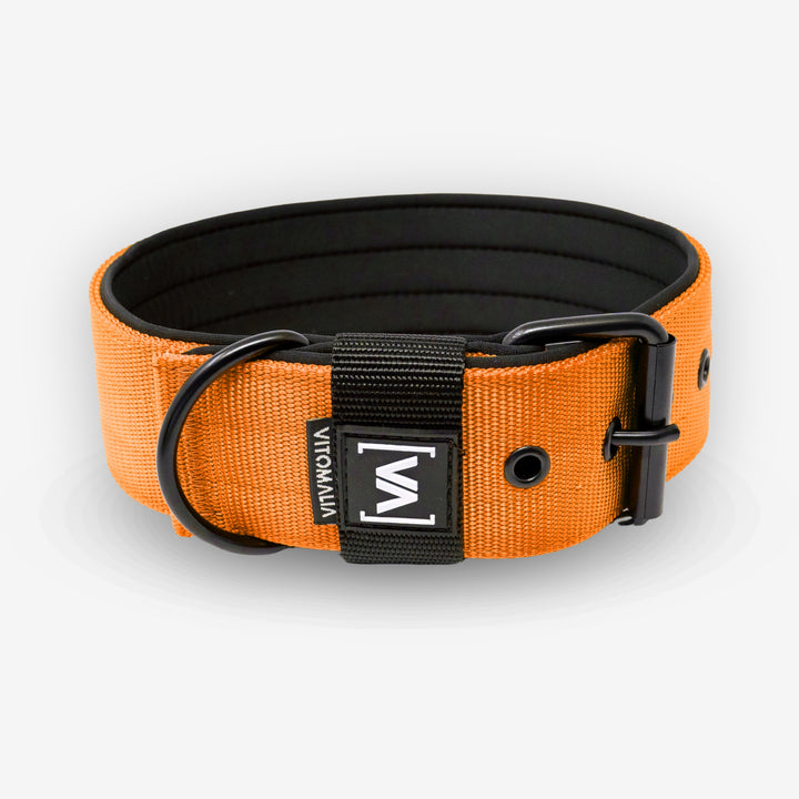 Classic Dog Collar with protruding inner lining - Nero Orange