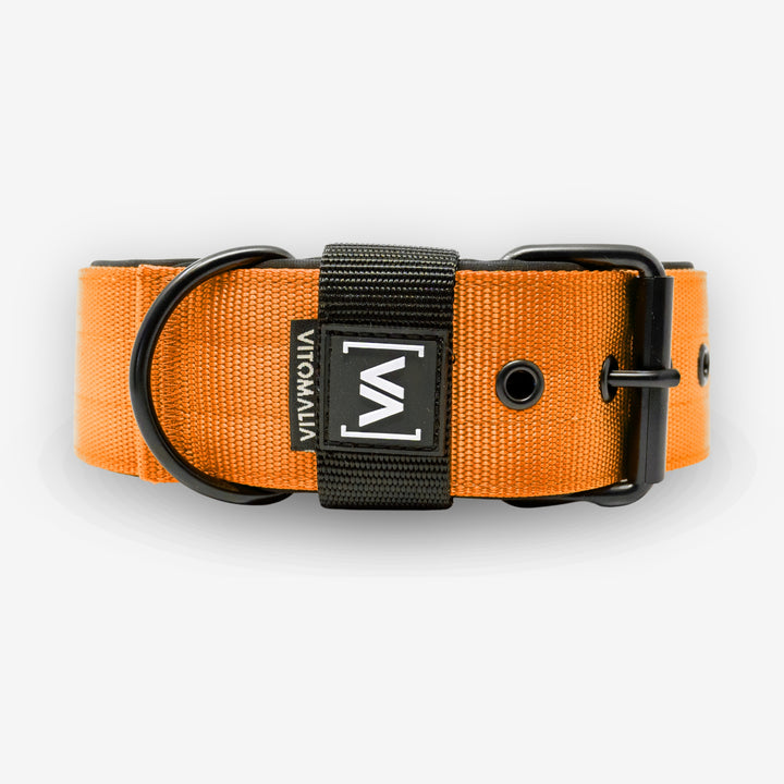 Classic Dog Collar with protruding inner lining - Nero Orange