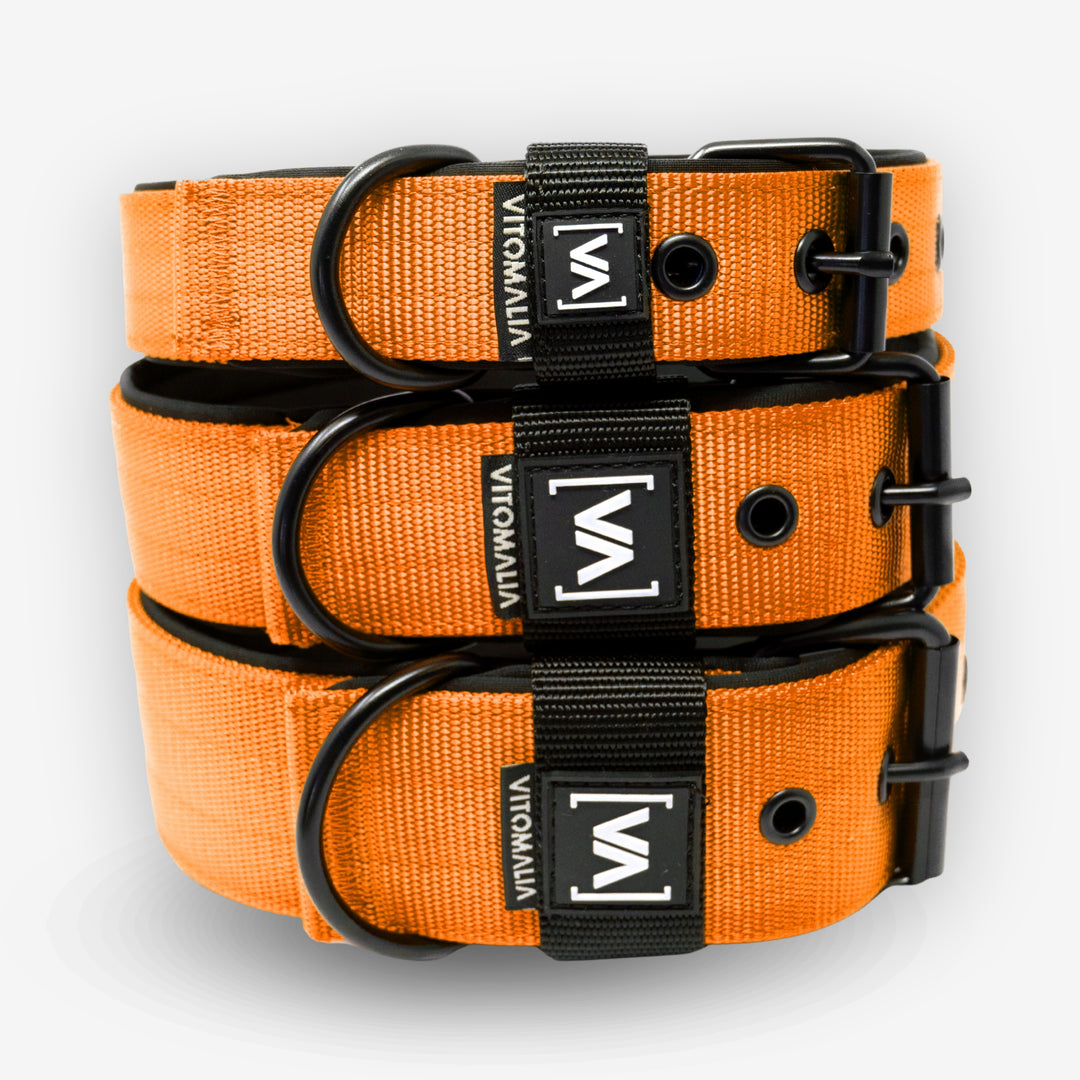 Classic Dog Collar with protruding inner lining - Nero Orange