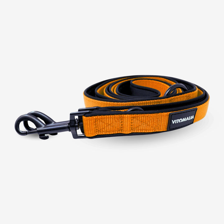 Bundle Classic Nero Edition Orange Set - Collier + 2,2m triple Laisse pour chien réglable Laisse pour chien