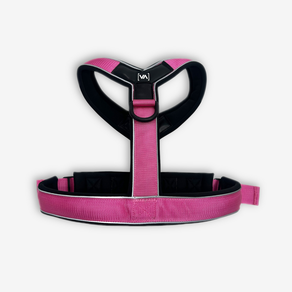 Leichtes Y-Hundegeschirr mit Reflextionsstreifen in Pink - Vitomalia - Easy Go Edition Hundegeschirr