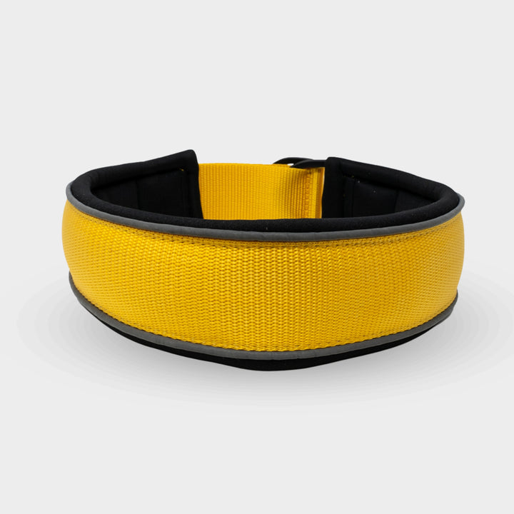 Reflective yellow pull-stop dog collar - With anti-choke function