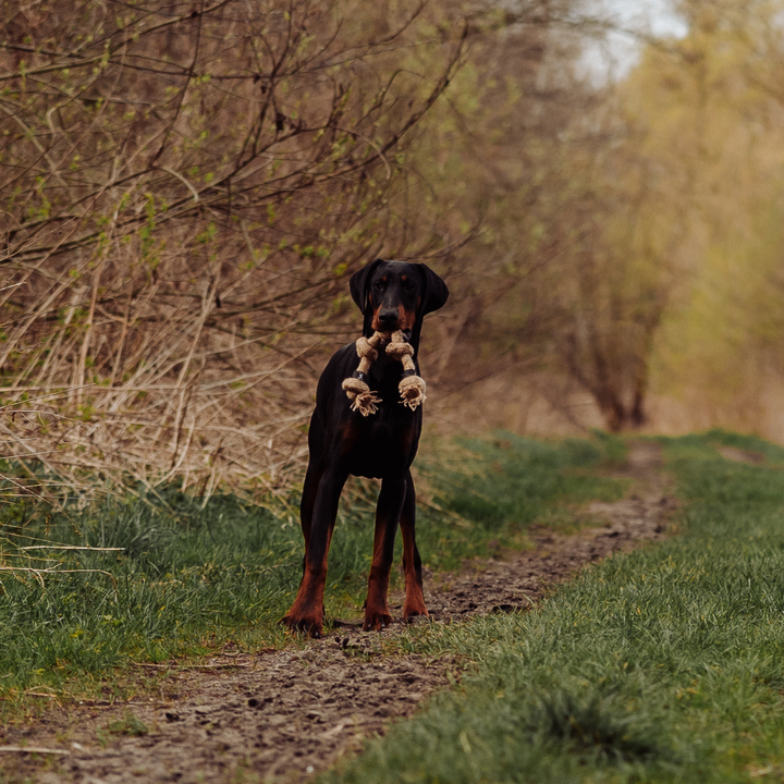 Geflochtenes Mehrknoten-Zerr-Seil für Hunde: 100% Naturhanf, handgeknotet - Eco Tug - Vitomalia - 