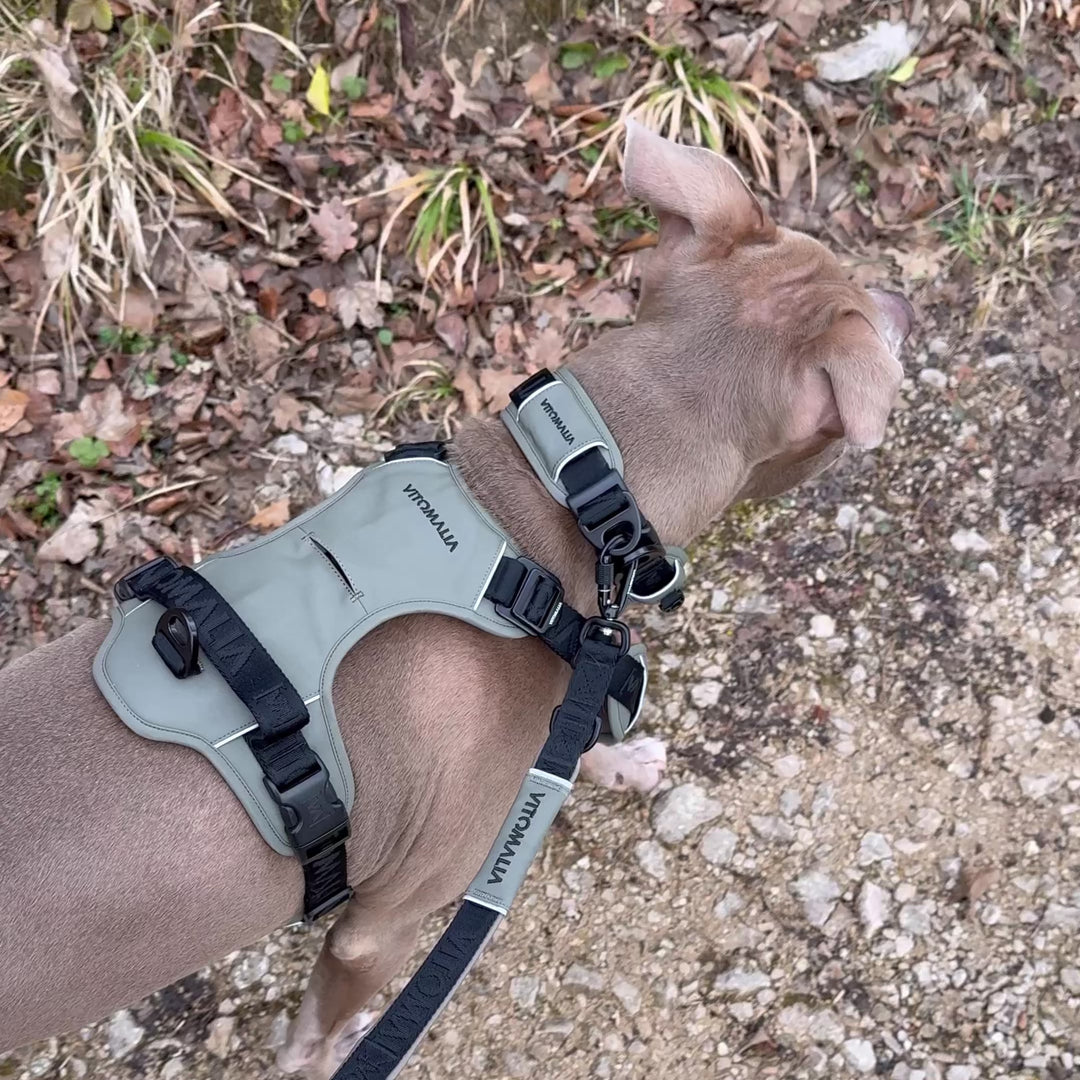 Correa para perro reflectante ajustable en 3 direcciones de 2,2 m - mosquetón de seguridad y Correa corta, acolchada de neopreno